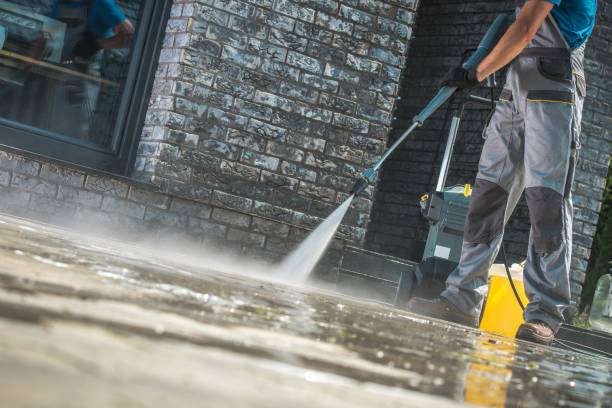 Best House Exterior Washing  in Westvle, IL